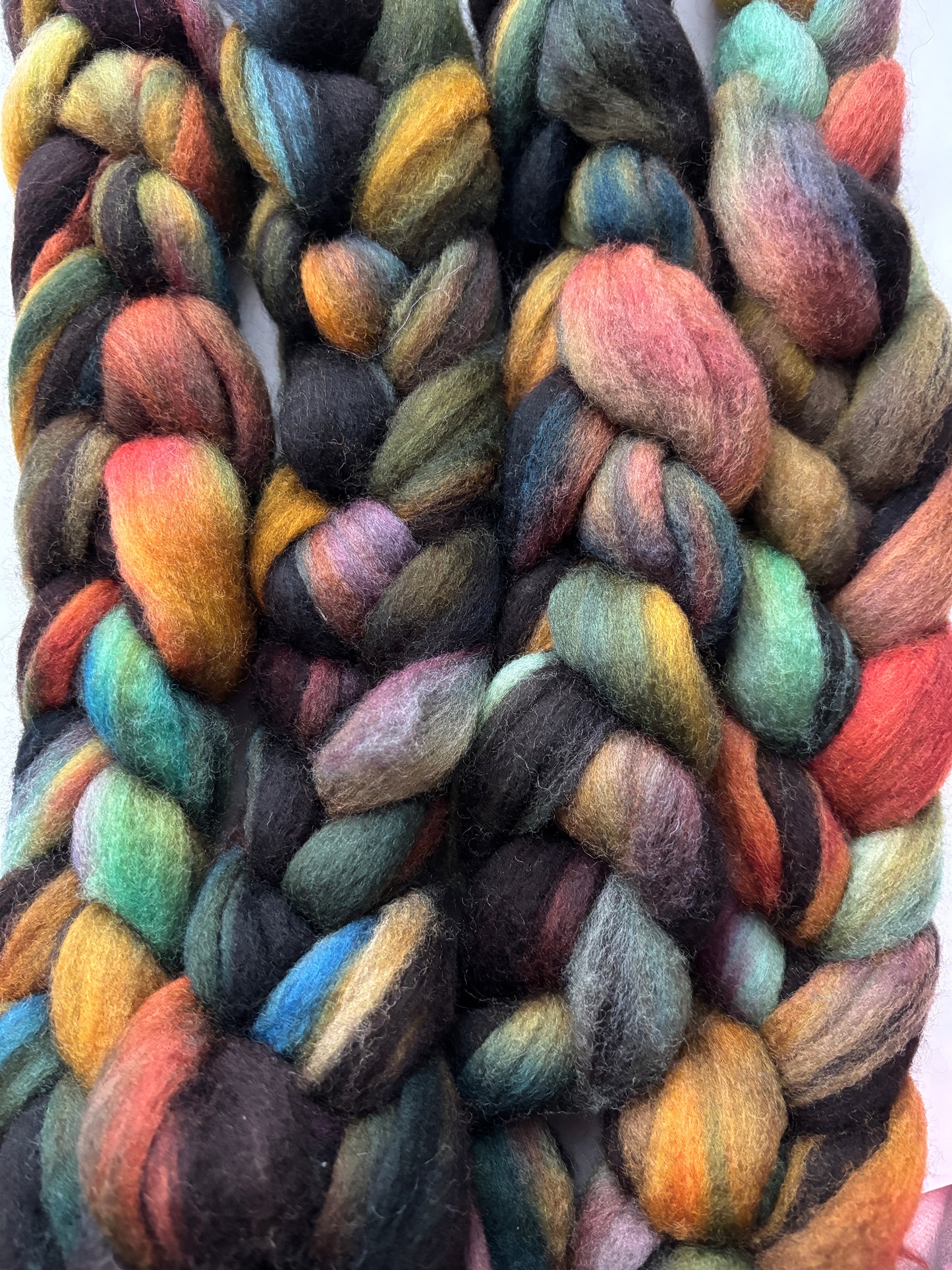 Fibre - Rainbow Trout